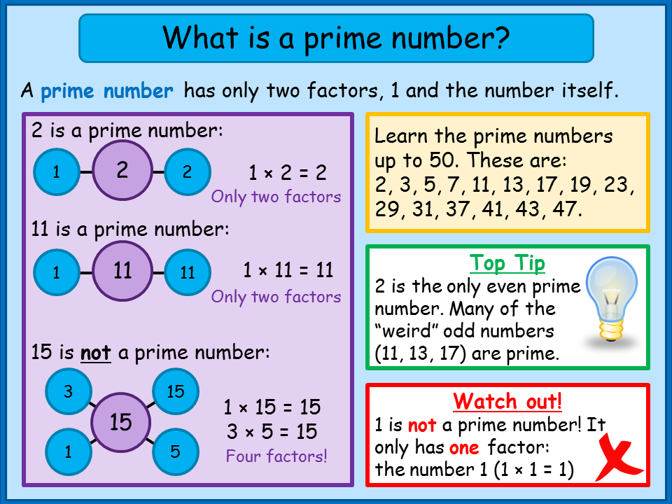 How Many Factors In Prime Number